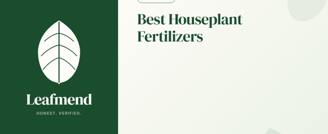 Best Houseplant Fertilizers (Honest Buyer’s Guide)