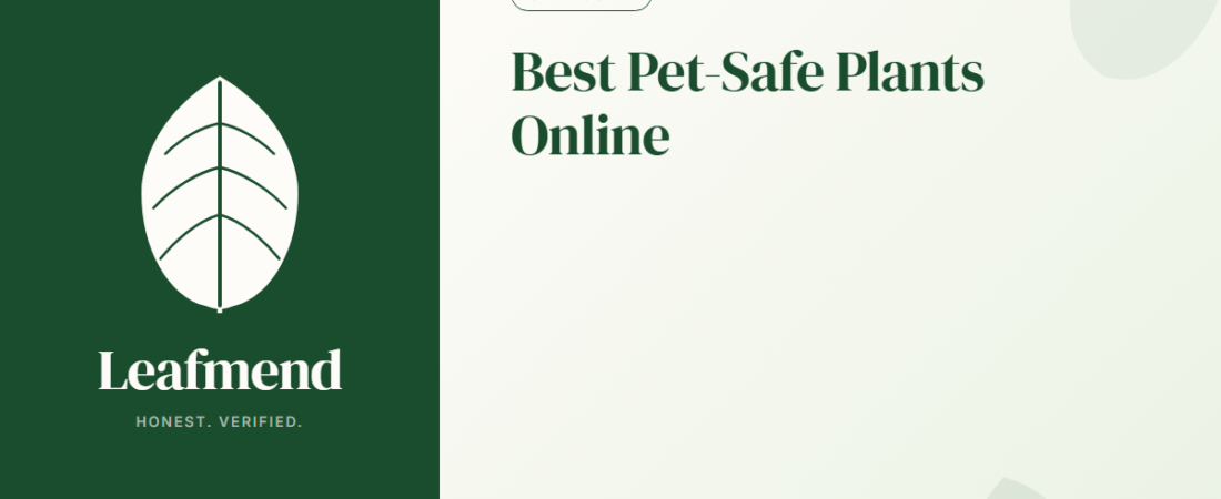Best Pet-Safe Houseplants to Buy Online (Honest Buyer’s Guide for Pet Owners)