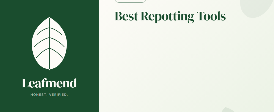 Best Repotting Tools for Houseplants (Honest 3-Piece Kit Guide)