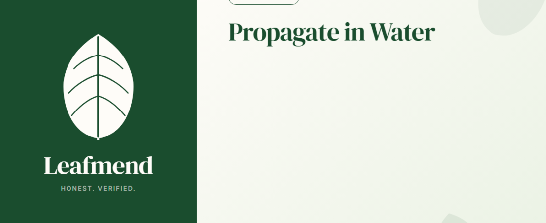 How to Propagate Houseplants in Water