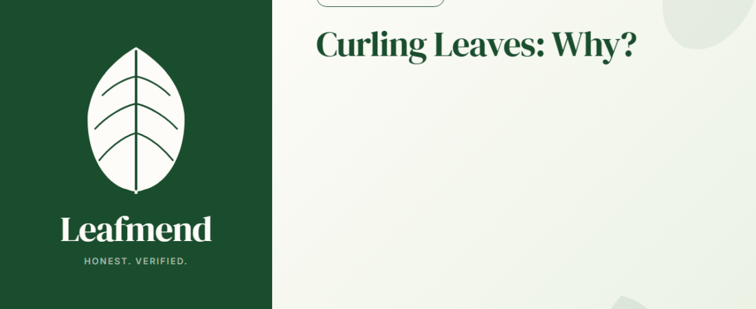 Why Are My Plant Leaves Curling? (Match It to the Cause)