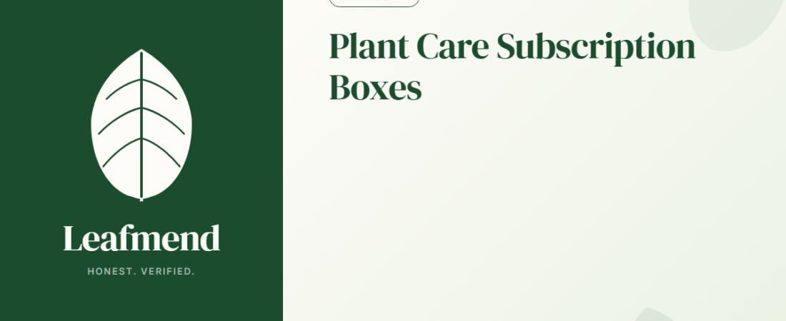 Best Houseplant Care Subscription Boxes (Honest Review)