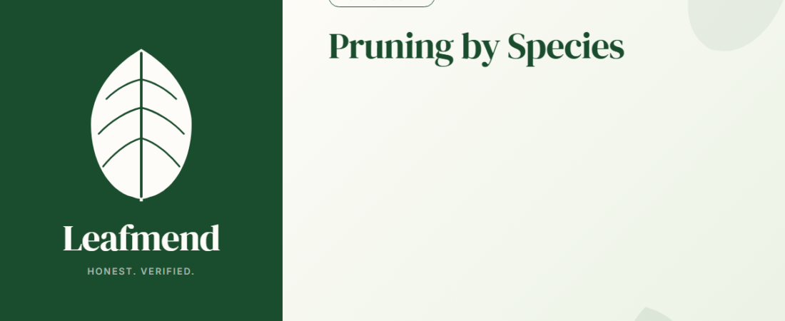 How to Prune Each Popular Houseplant (Species Specific Guide)