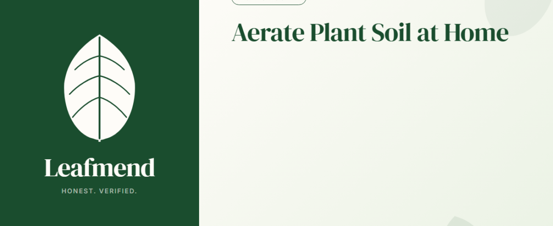 How to Aerate Houseplant Soil (Without Repotting)