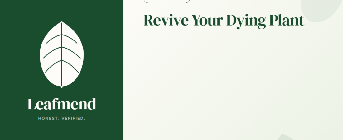 How to Revive a Dying Houseplant (5-Step Emergency Triage)
