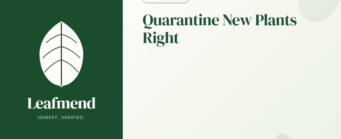 How to Quarantine a New Houseplant (Step-by-Step Pest Prevention)