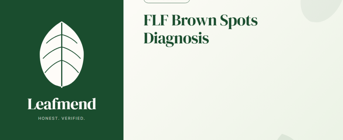 Fiddle Leaf Fig Brown Spots (How to Tell the 4 Causes Apart)