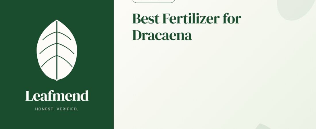Best Fertilizer for Dracaena (Honest Buyer Guide + What to Skip)