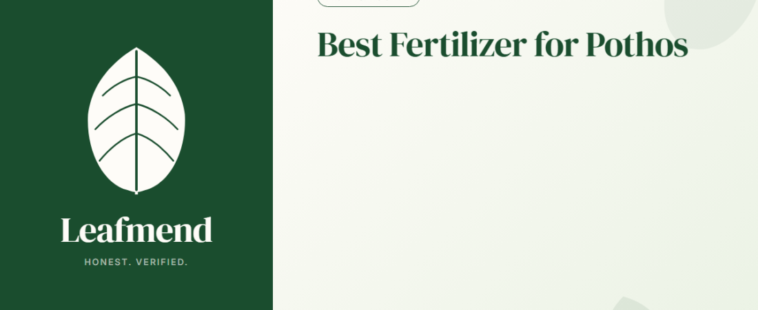 Best Fertilizer for Pothos (Honest Buyer Guide + What to Skip)