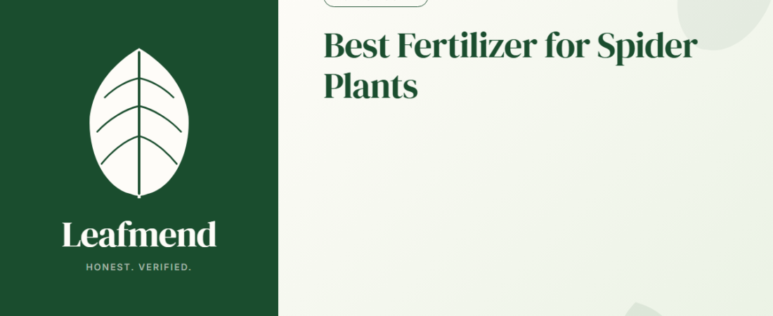 Best Fertilizer for Spider Plants (Honest Buyer Guide + What to Skip)