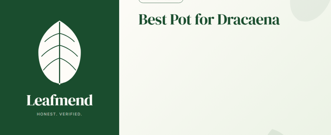 Best Pot for Dracaena (Honest Buyer Guide + What to Skip)