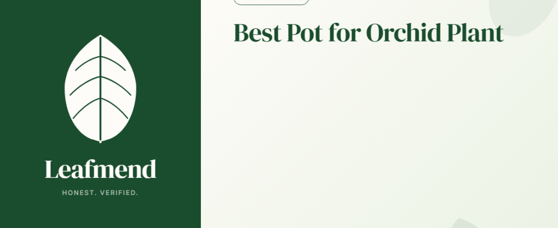 Best Pot for Orchid Plant (Honest Buyer Guide + What to Skip)