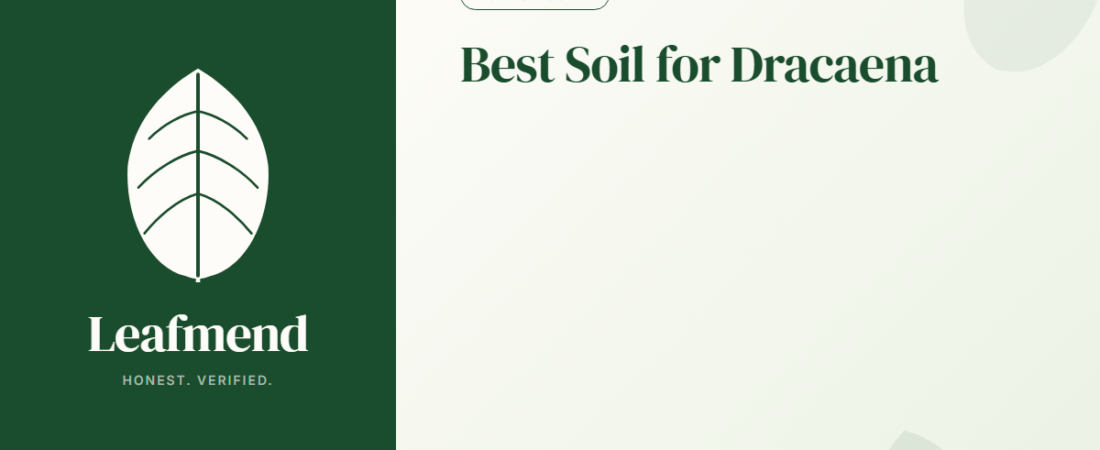 Best Soil for Dracaena (Honest Buyer Guide + What to Skip)