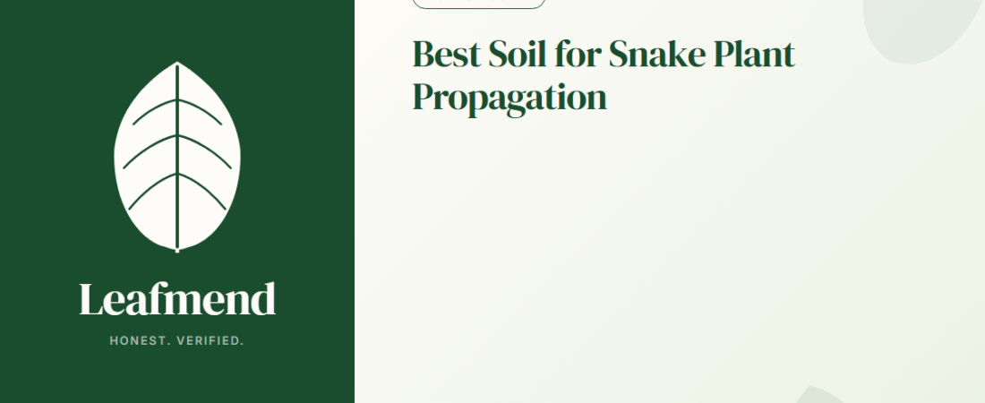 Best Soil for Snake Plant Propagation (Honest Buyer Guide + What to Skip)