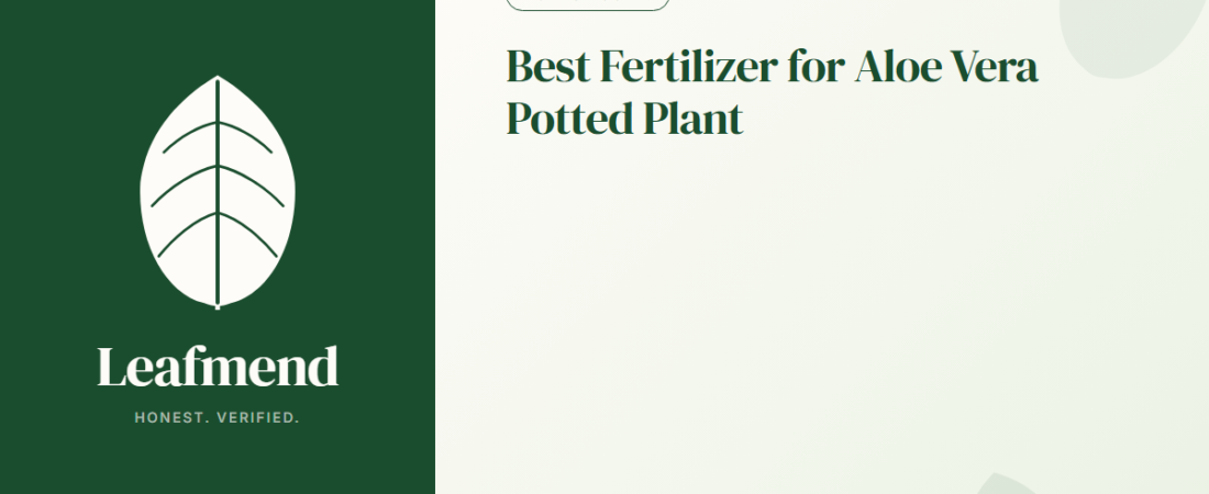 Best Fertilizer for Aloe Vera Potted Plant (Honest Buyer Guide + What to Skip)