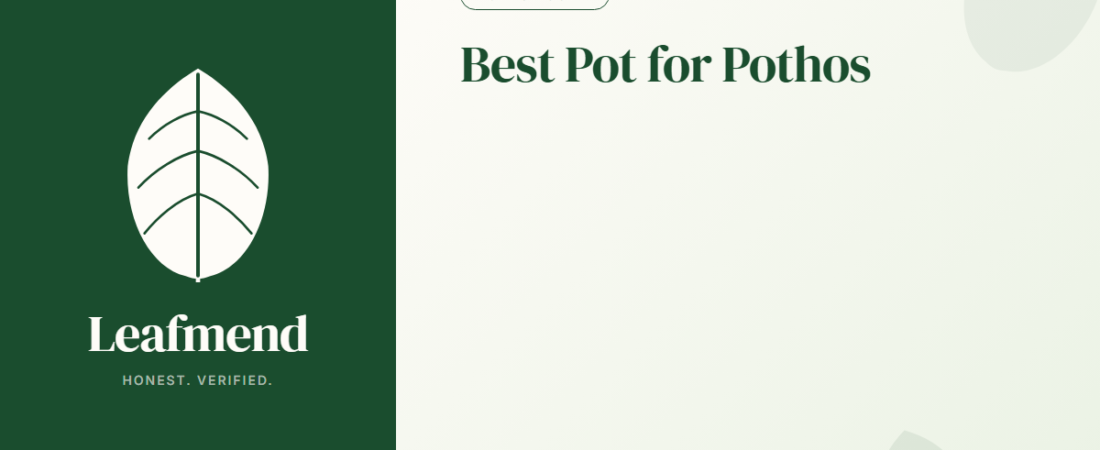 Best Pot for Pothos (Honest Buyer Guide + What to Skip)