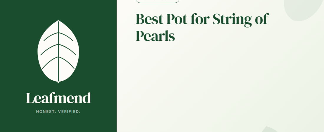 Best Pot for String of Pearls (Honest Buyer Guide + What to Skip)