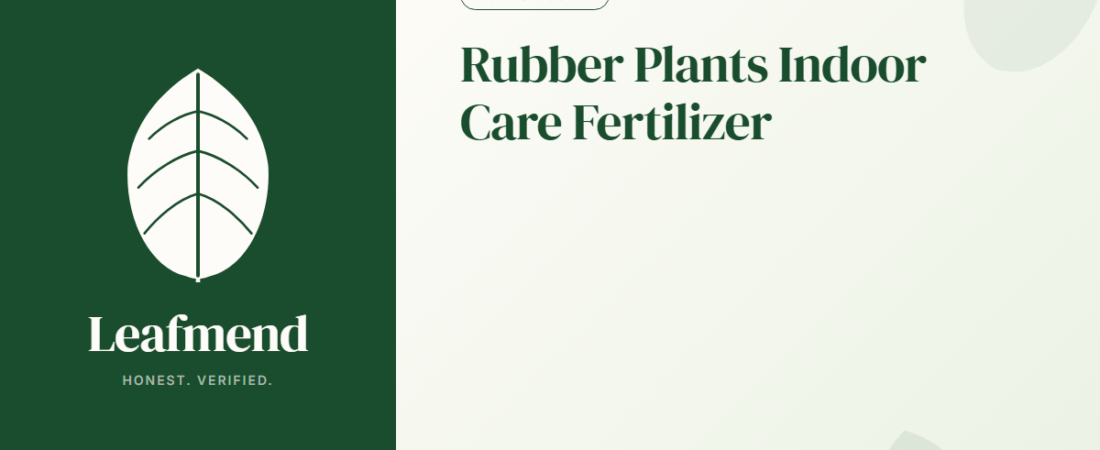 Rubber Plants Indoor Care Fertilizer (The Honest Guide)