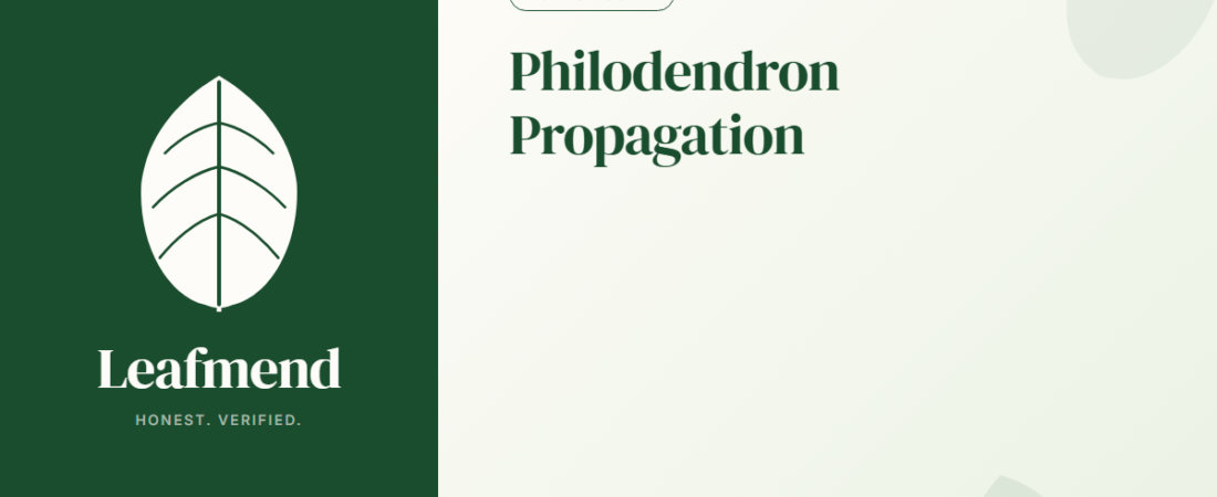 Philodendron Propagation (The Honest Guide)